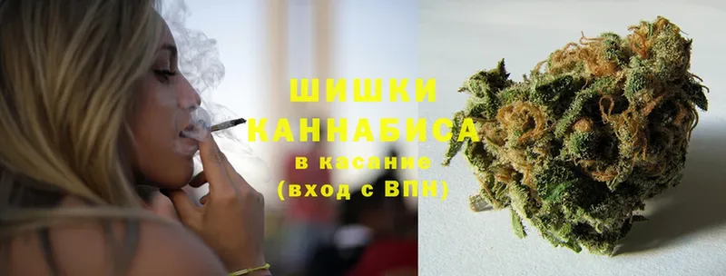 Бошки Шишки White Widow  наркотики  Бежецк 